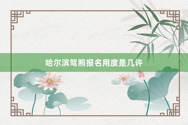 哈尔滨驾照报名用度是几许