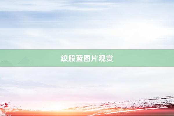 绞股蓝图片观赏