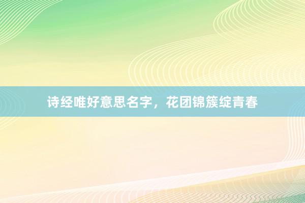 诗经唯好意思名字，花团锦簇绽青春