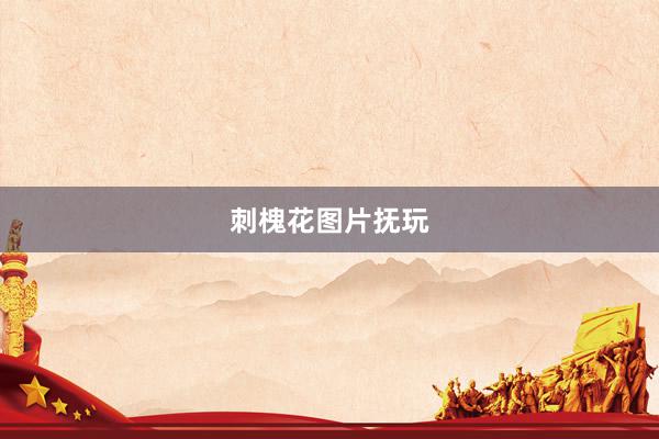 刺槐花图片抚玩