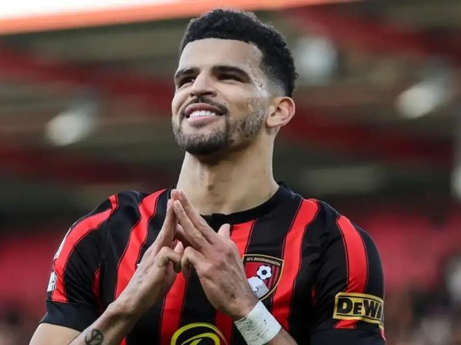 索兰克2024年采访：我以前是阿森纳球迷，现在没球迷籍了插图